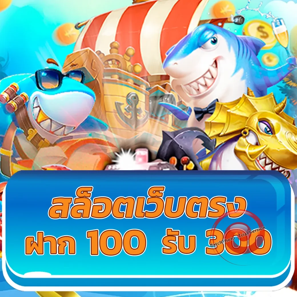 pgplay5 เว็บตรง